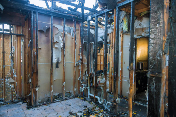 Professional Fire Damage Removal technician working in Immaculata, PA